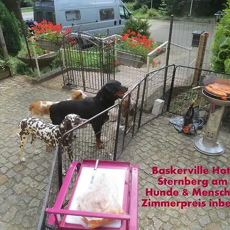 Guest house Baskerville