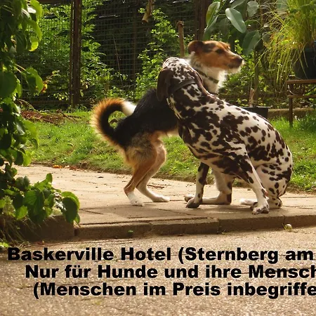 Baskerville *