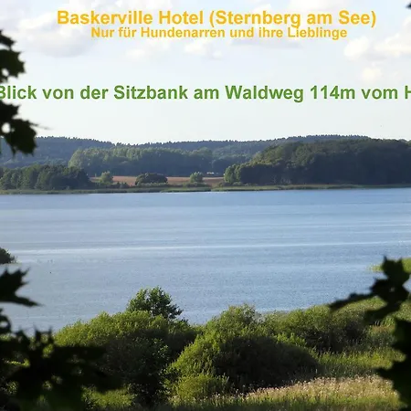 Guest house Baskerville Sternberg