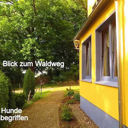 Baskerville Guest house *
