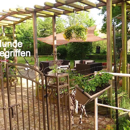 Guest house Baskerville Sternberg