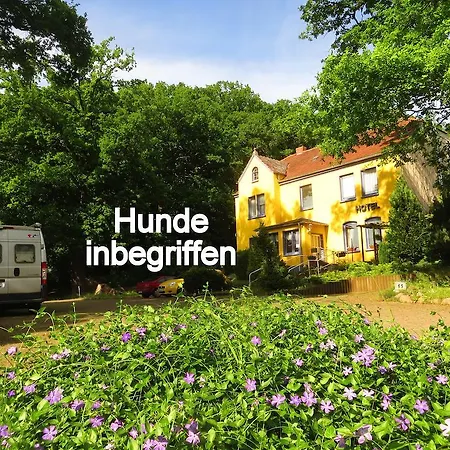 Baskerville Guest house Sternberg