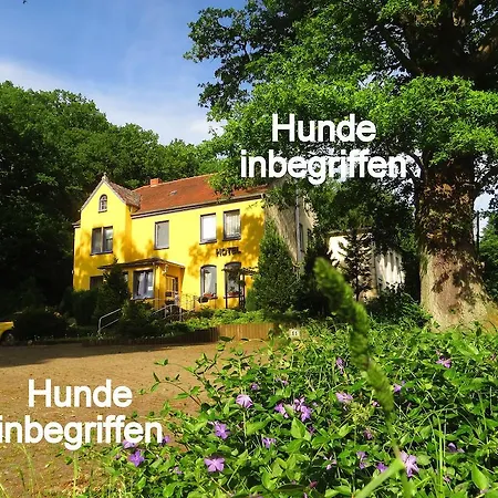 Baskerville Guest house