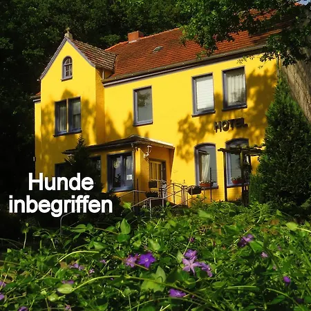 Guest house Baskerville *